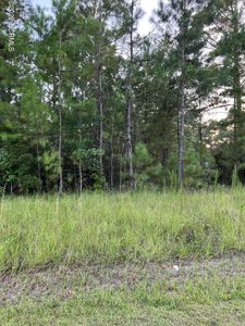 397 Sherrow River Drive SW, Shallotte, NC, 28470