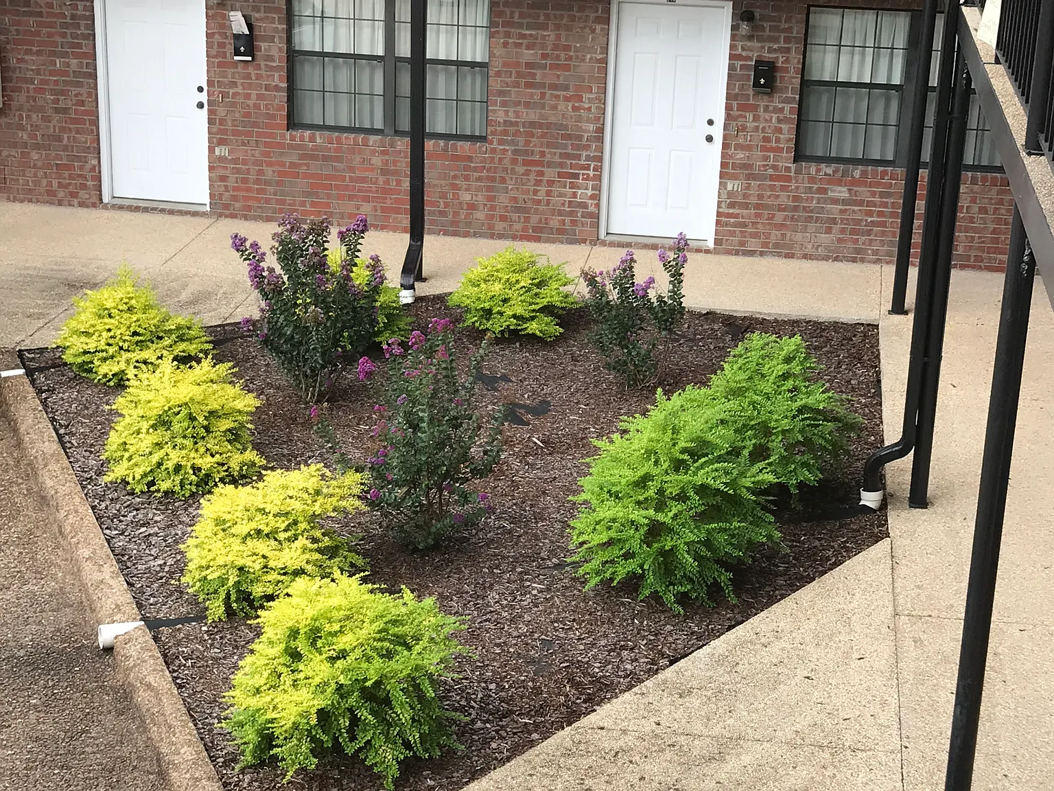 2 bed, $900 — Photo 2