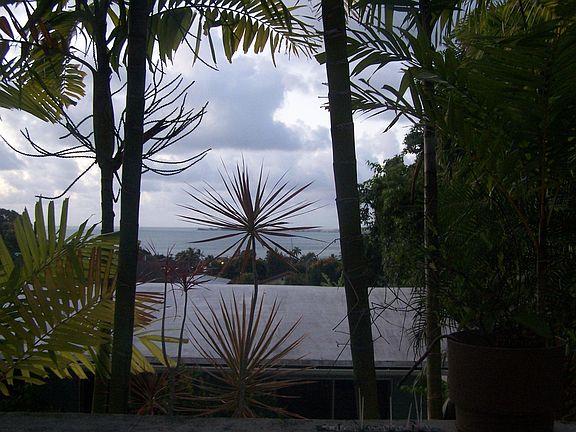 view from living area