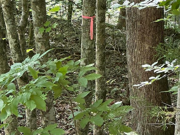 3rd image of Hiwassee View Dr Lot 56