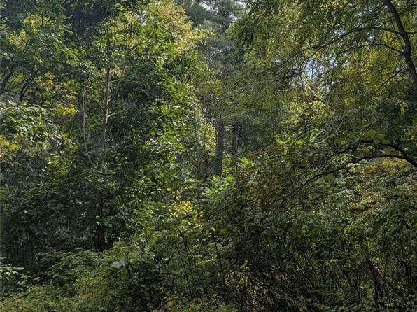 Lot A Lt A Hobnob Lane, Glenville, NC 28736