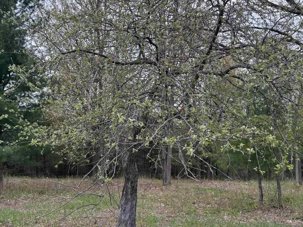 0 Shanty Creek Rd, Bellaire, MI 49615