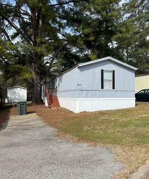 Palmetto Palms — Photo 23