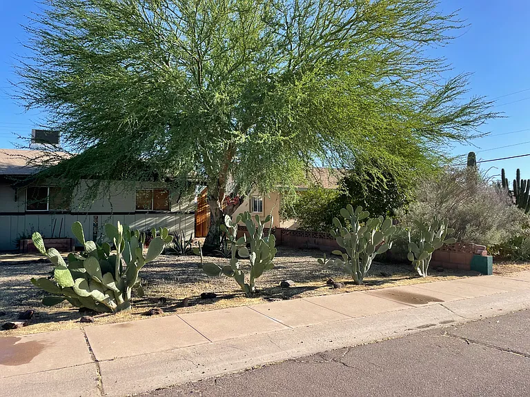 1239 W Elna Rae St — Photo 9