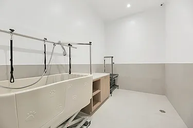 Rented by Goose Property Management LLC