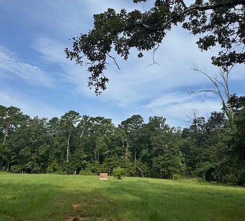 5th image of 18163 Balfantz Rd