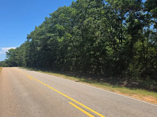 2 Perry Luckie Rd, Greenville, AL 36037