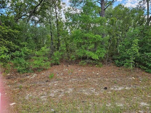 1681 W Skyline Dr Lot 1, Dunnellon, FL 34434