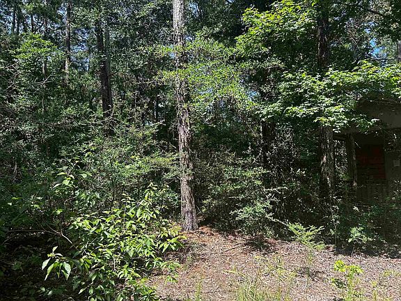 5th image of 384 Sandy Ln