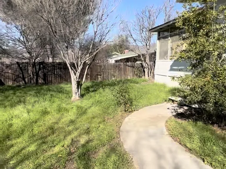 back yard