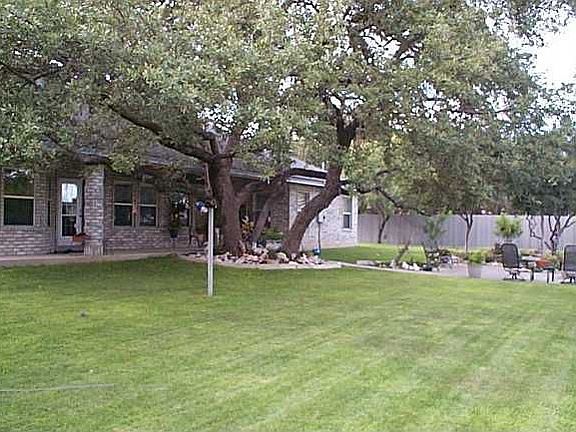 Oak Tree Canopy