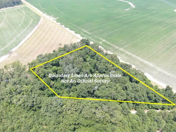 Vacant Ne Chervil Dr, Lee, FL 32059