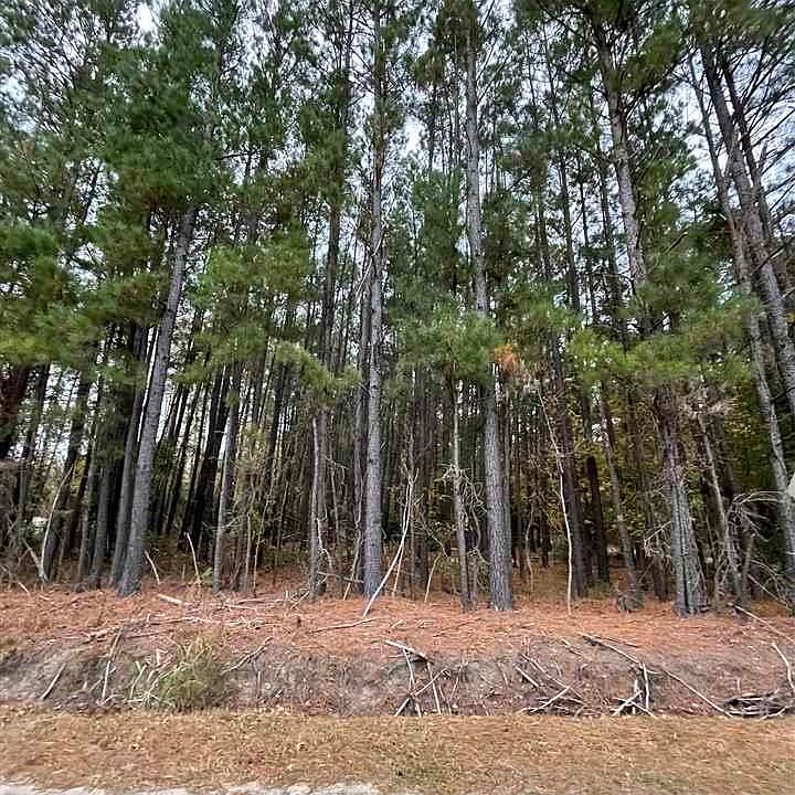 NULLB Langston Rd, Timmonsville, SC 29161 Zillow