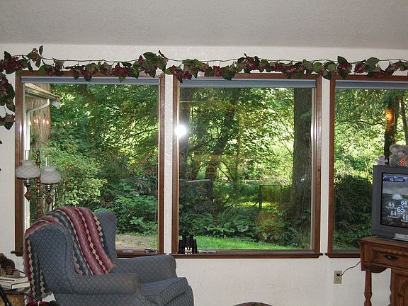 More windows in the family room that look over the property.
