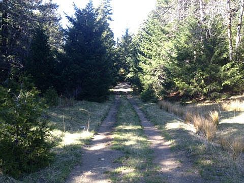 1st image of 40 Acres Boulder Creek None