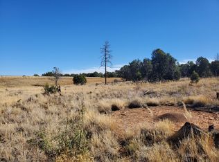 5341 Black Forest Ln, Pinedale, AZ 85901