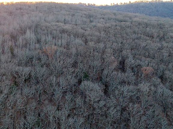 3rd image of 225/ACRE S Price Rd