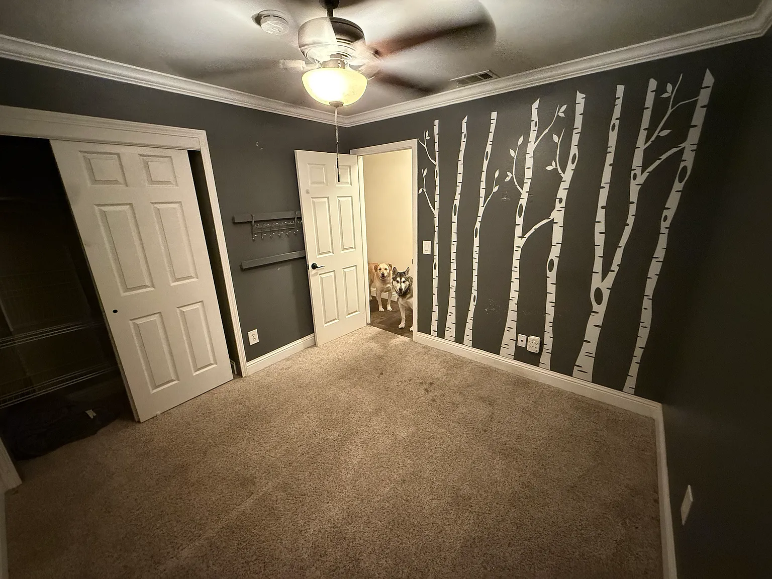 Branchwater Way, Citrus Heights — Photo 3