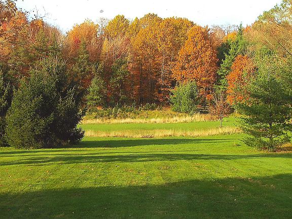 View from Deck/Dining Room