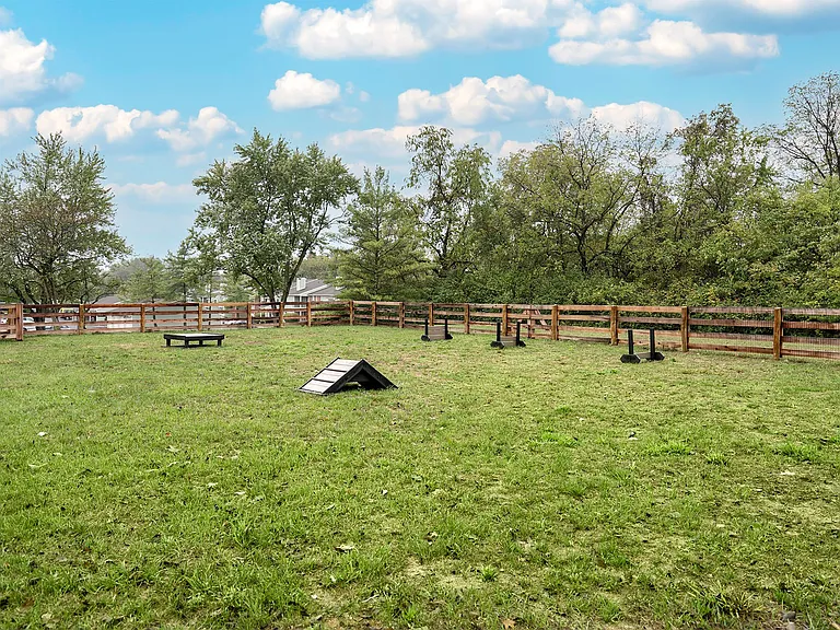 Steeplechase — Photo 51