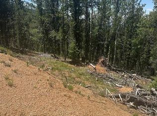 110 Brown Bear Ln, Cripple Creek, CO 80813