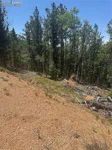 110 Brown Bear Ln, Cripple Creek, CO, 80813