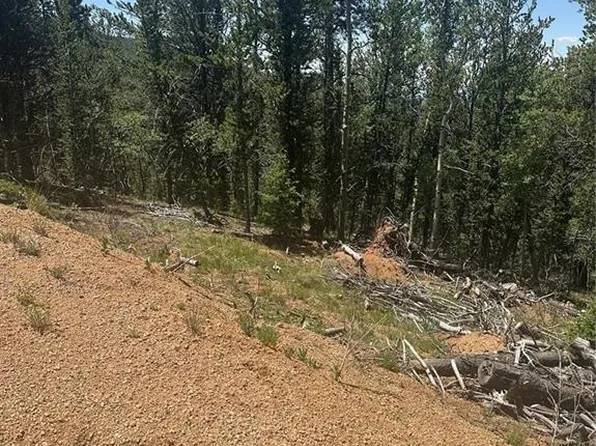 110 Brown Bear Ln, Cripple Creek, CO 80813