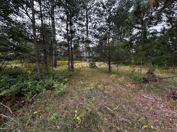 V/l E Hughes Lake Rd, Rose City, MI 48654