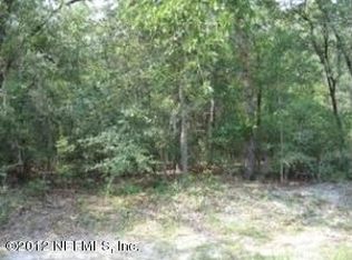 4236 Chokeberry Rd, Middleburg, FL 32068