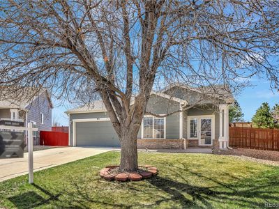 971 Parsons Avenue, Castle Rock, CO, 80104