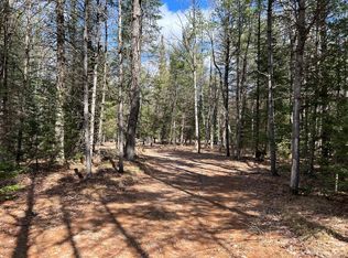 S Roscommon Rd, Prudenville, MI 48651