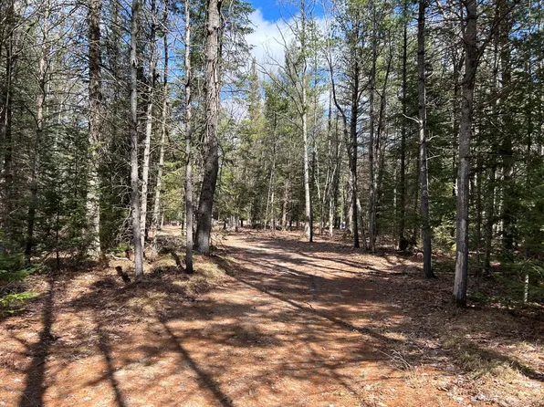 S Roscommon Rd, Prudenville, MI 48651