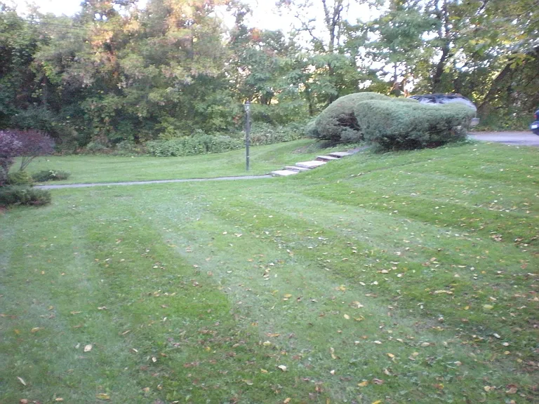 Large yards front and back.