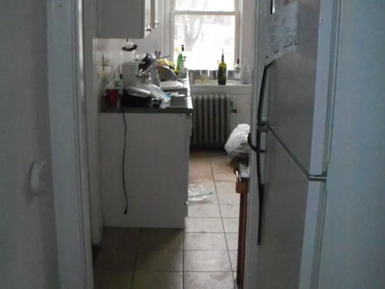 241 Freeman St #7 — Photo 5