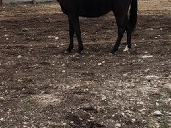 514 Centerfork Rd, Doss, TX 78618