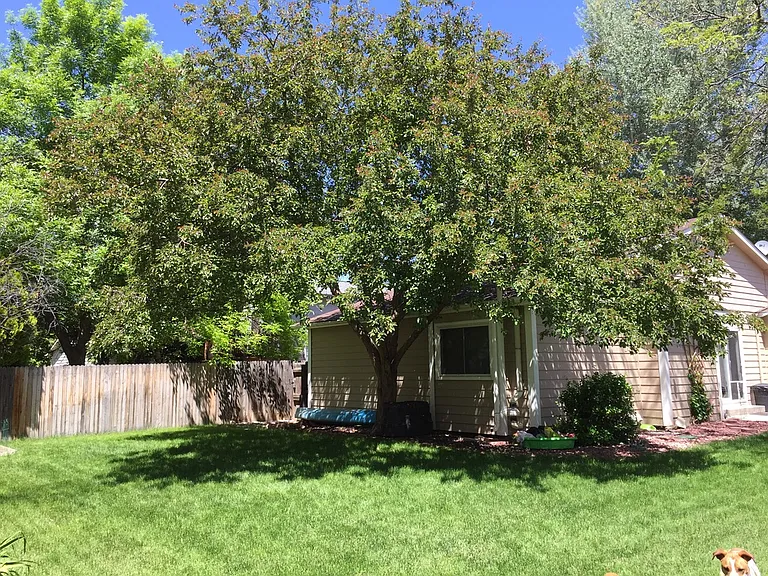 919 Queens Ct — Photo 3
