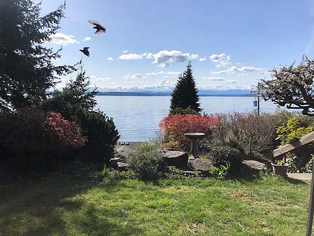 view from patio