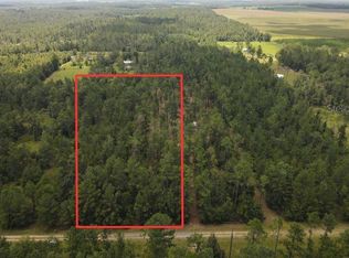 NE Dixon Ct Lot 20, Lee, FL 32059