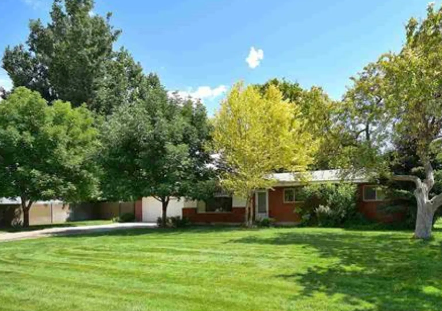 Unique Acreage Property with Shop Space & Business Space Potential | South Meridian — Photo 4