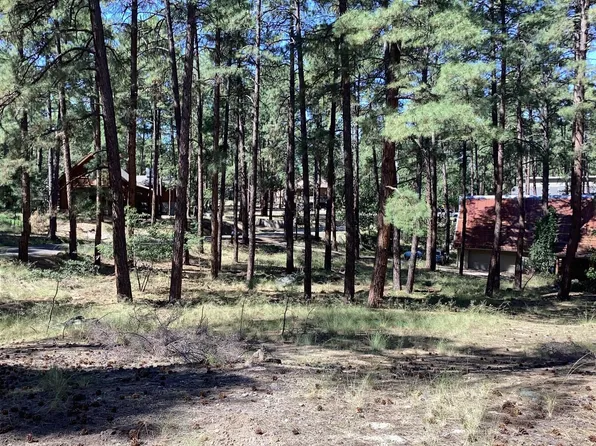 4540 S Camino Vaga, Prescott, AZ 86303