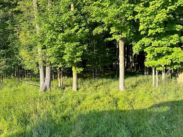 Condroski Rd, Florence, WI 54121