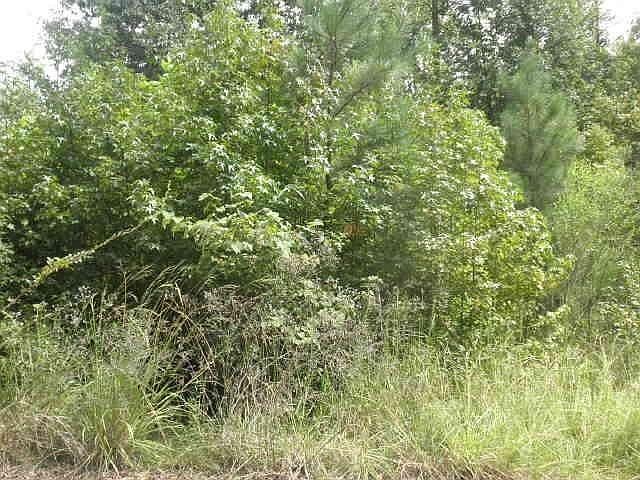 1st image of Woodland Ct