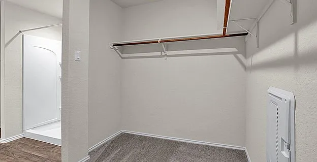 Master Walk-in Closet