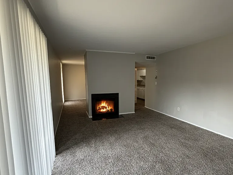 Fireplace - living room Fireplace - living room