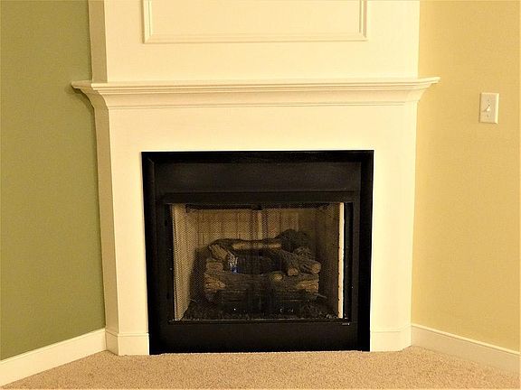 Fireplace Details