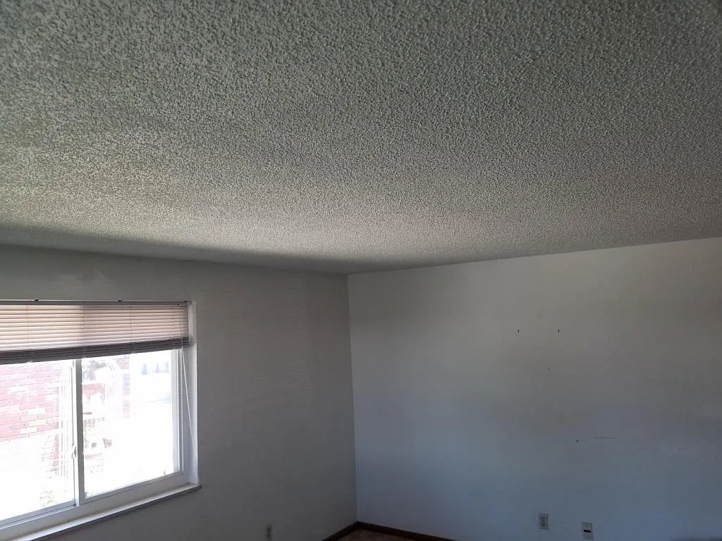 1442 Kay St, Longmont, CO 80501 — Photo 2