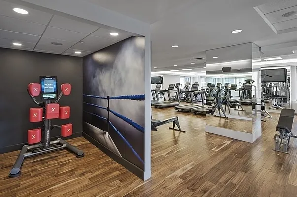 Rented by MOTION New York | media 18