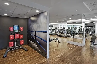 Rented by MOTION New York