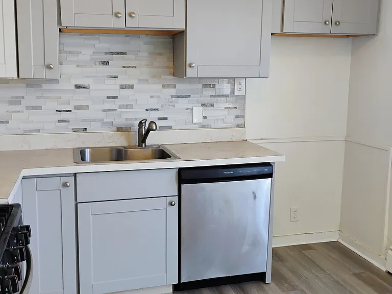 Stainless Steel Sink and Dishwasher