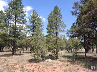 5631 Tamarron Dr, Happy Jack, AZ 86024